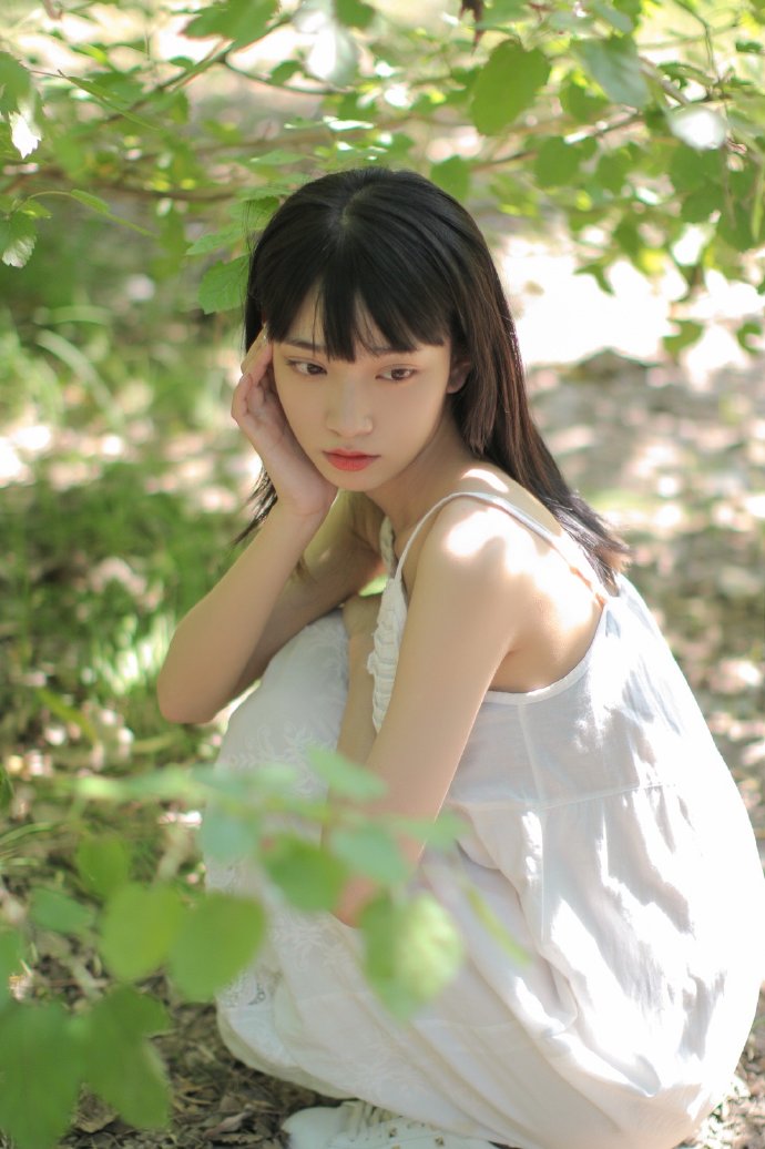 山河故人